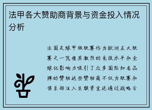 法甲各大赞助商背景与资金投入情况分析